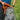 Gregory Zulu 25 LT RC - Wanderrucksack 55 cm (forage green) - Bild 5